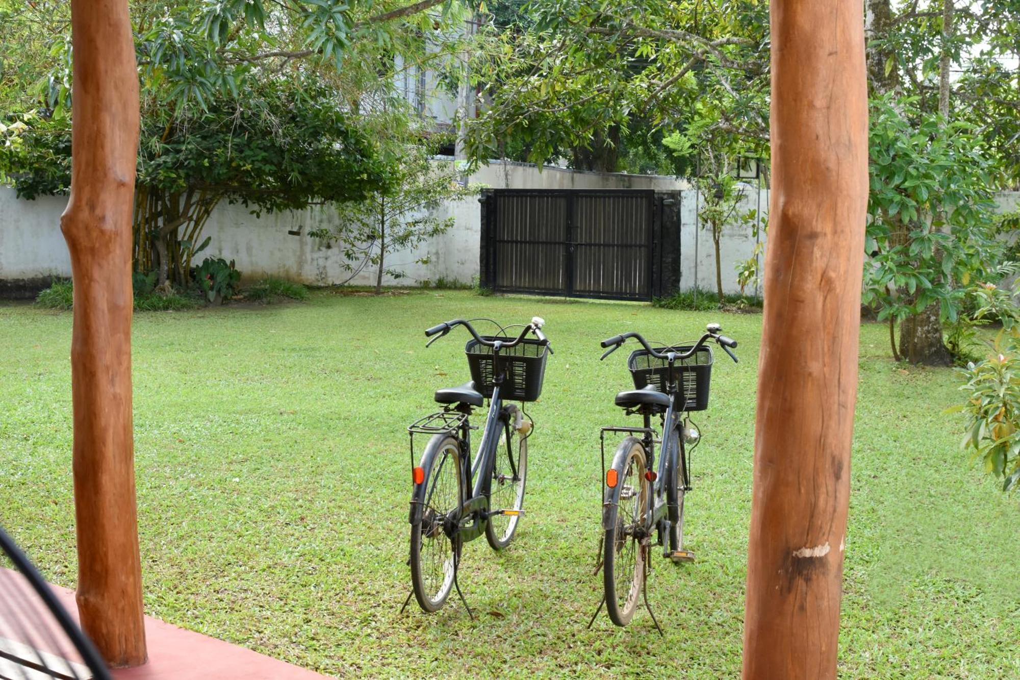 Villa Polhena Matara Rum bild